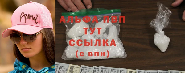 ГАЛЛЮЦИНОГЕННЫЕ ГРИБЫ Аркадак