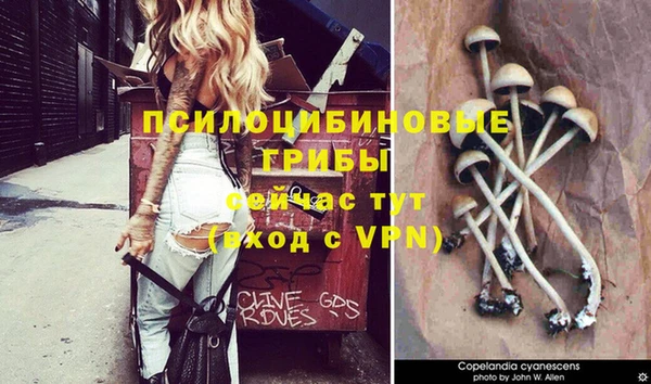 метадон Армянск