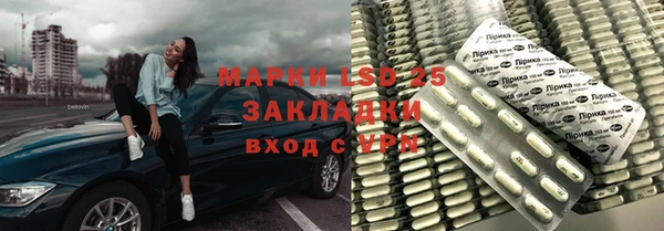 ГАЛЛЮЦИНОГЕННЫЕ ГРИБЫ Аркадак