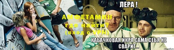 ГАЛЛЮЦИНОГЕННЫЕ ГРИБЫ Аркадак