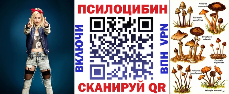 Псилоцибиновые грибы GOLDEN TEACHER  закладки  Аткарск 